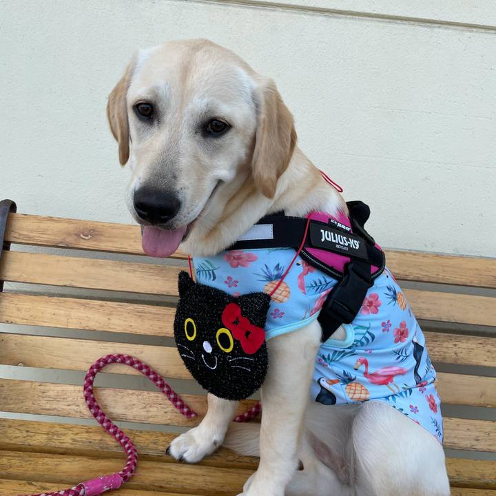 A3070185 a752 4b34 b88f 3160e897a142 1623829785619