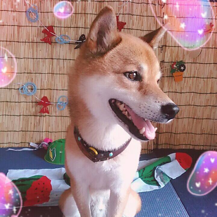 A30711b4 bd95 494b 8549 5a622b5c5ca1 1565933921345