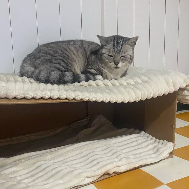 A307143e 81a1 45e0 b7bf 50fb836574ff 1717713986250