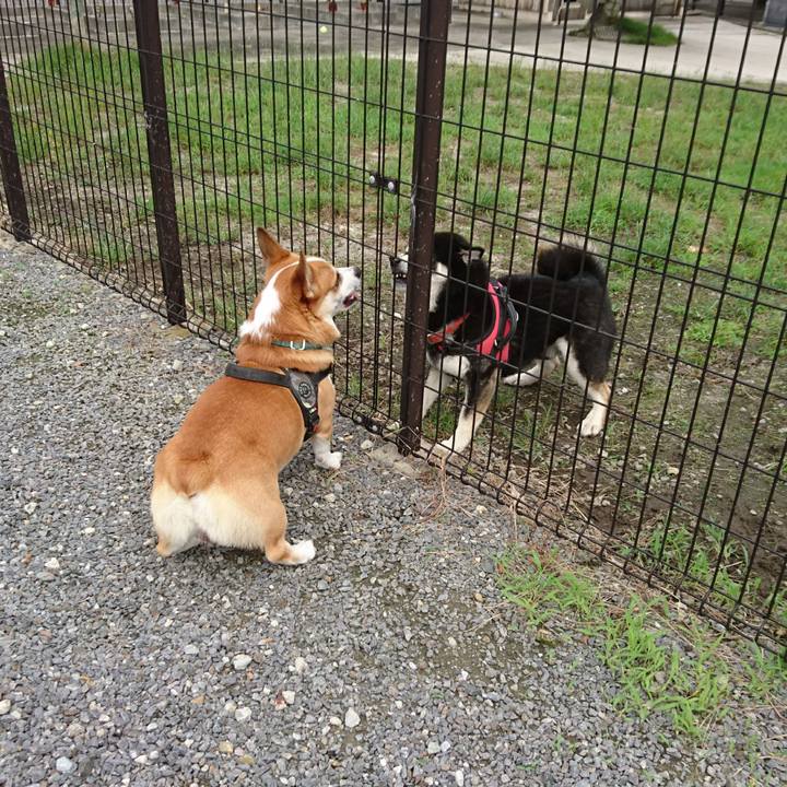 A307214d bbcc 4739 ab0a e23caee8139c 1632032075368