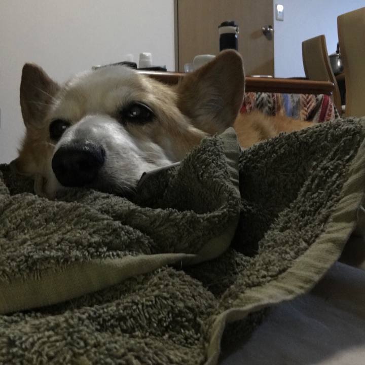 A3073121 3e05 48b1 9a87 501772045727 1526774621914