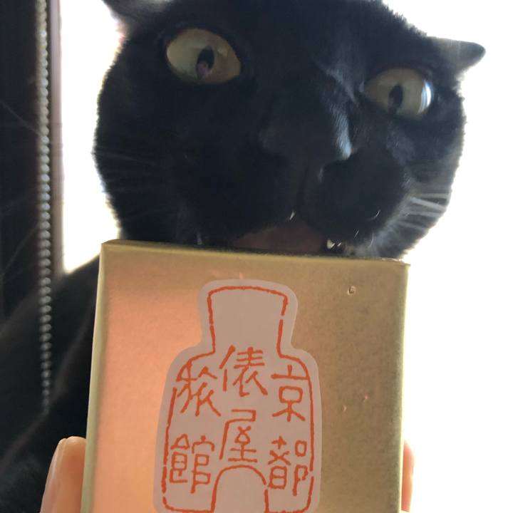 A3073a8b 8e3e 4327 9b0e e4d01f93f68d 1552954218227