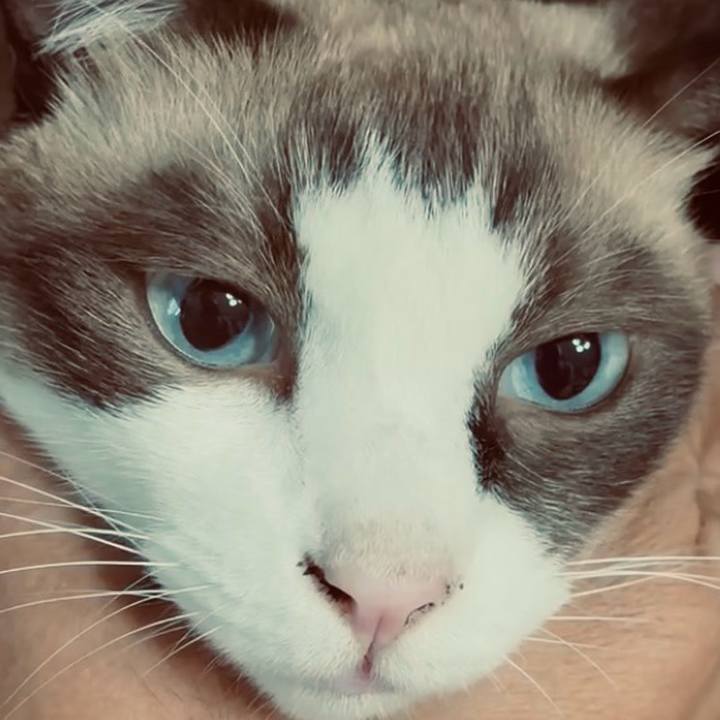 A3074302 cea7 4bac b1ad 7af39308e810 1759809139102