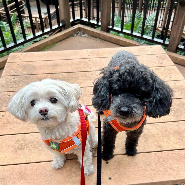 A307adcb 003c 4aa7 97e1 147c3186ef7d 1758795523586