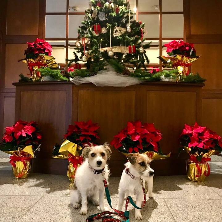 A307c97e 1494 41a7 89b3 8da477525cfd 1765114980769