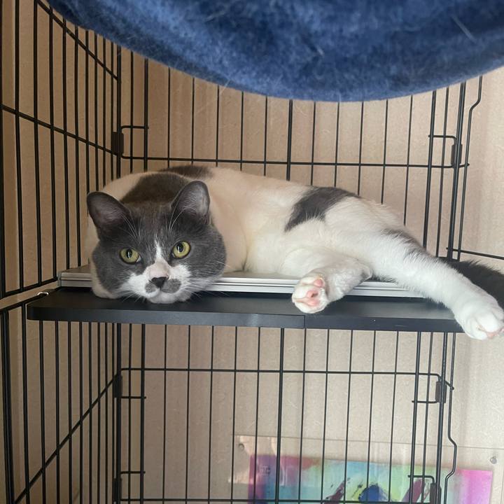 A307e682 3156 47e7 a33b 3cd0f9ddbd82 1691618896775