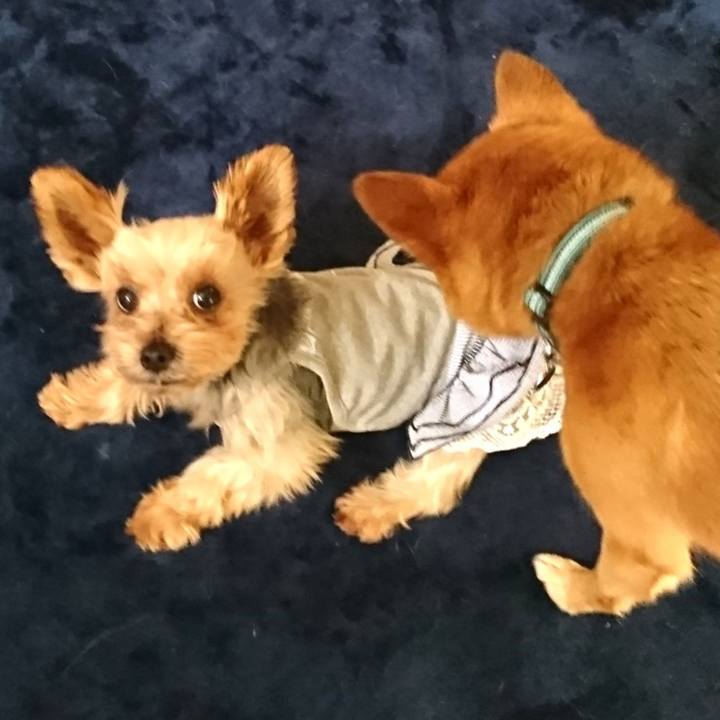 A3080635 91b8 4d58 ab52 931caf3122c0 1533966045448