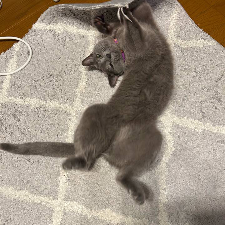 A3082d83 985f 49e0 8e40 69c270886e07 1758711714584