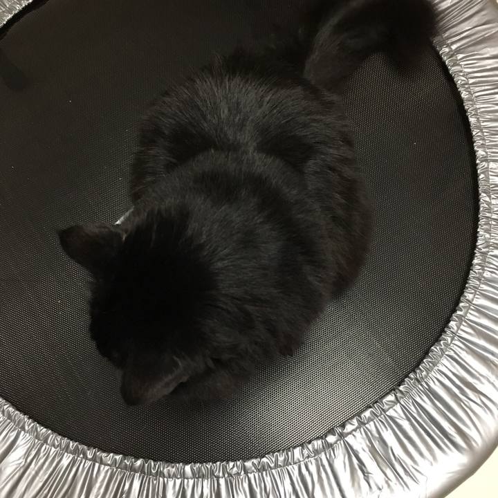 A3086f33 55f0 463c bf73 1ce8b28ebd8f 1515940720444