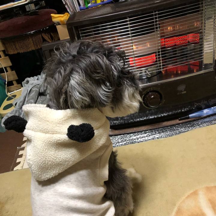 A308a0a5 a1f2 457b bf67 0b93fd245dad 1542960389194