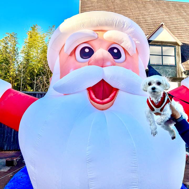 A308aa76 7aa1 431f a49f 78b639203af7 1671697319657