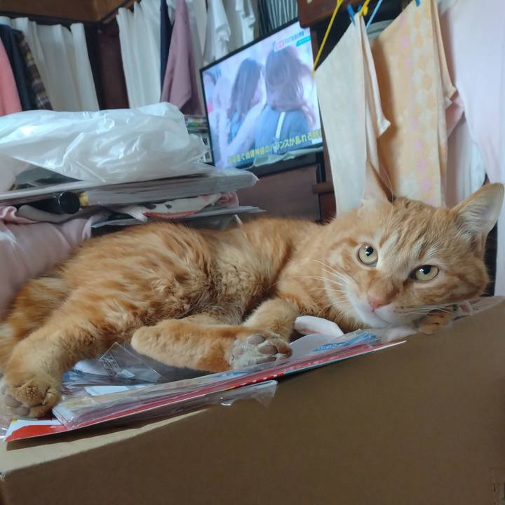 A308bc57 55f1 4d13 a04d 370141d91f6e 1676687576167