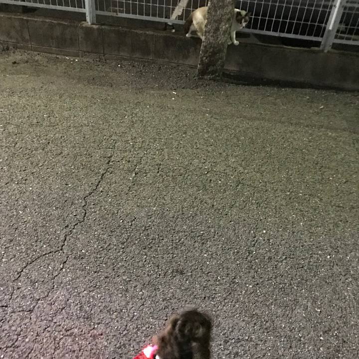 A308db97 b443 4802 b1d8 3cd707589f2f 1531317733965