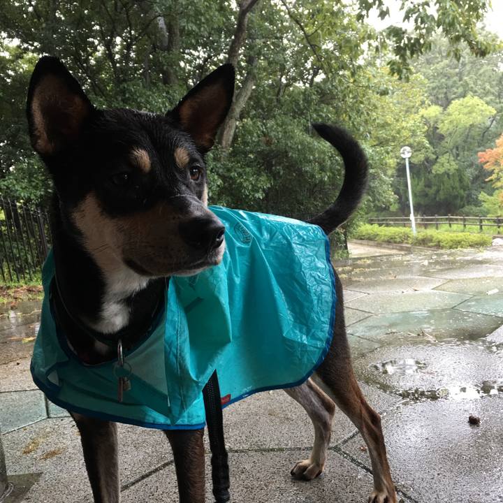 A308f507 b4b7 4d12 865a 7b87b2beeb86 1508657985954