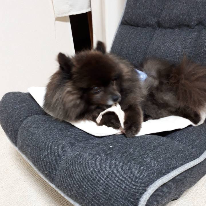 A30908c1 4372 41f0 a45e 108b883331ae 1520505325769