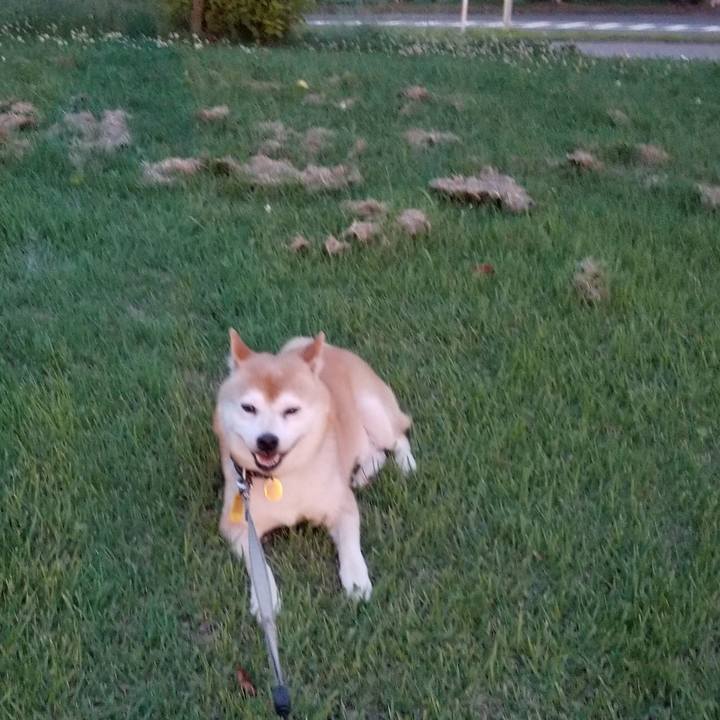 A309b70e f4df 498b bd9f 78c0f2c22e9a 1627985385577