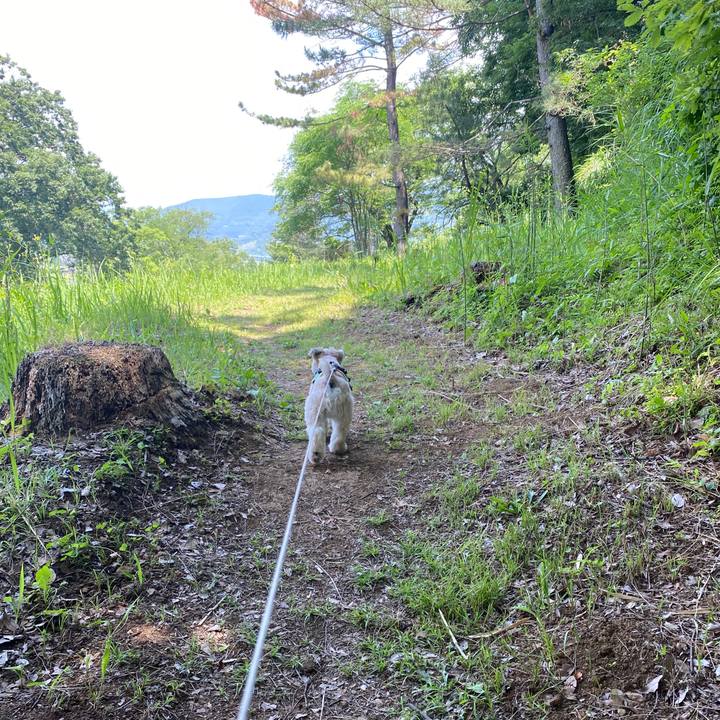 A309b7ba 6da1 4ff9 b5d0 05bf29f42e41 1591621552173