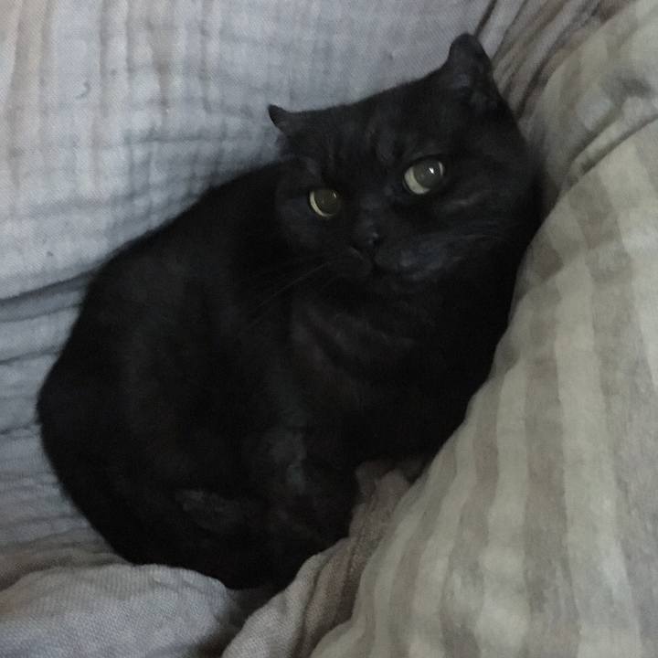 A30a21be c9a9 4d8f 8c27 03afde02f834 1546994122384