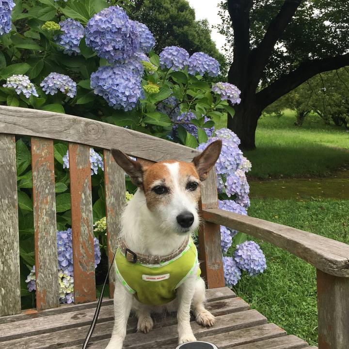 A30a9de9 c0d5 49c2 a772 439dfbeb3427 1592864373695