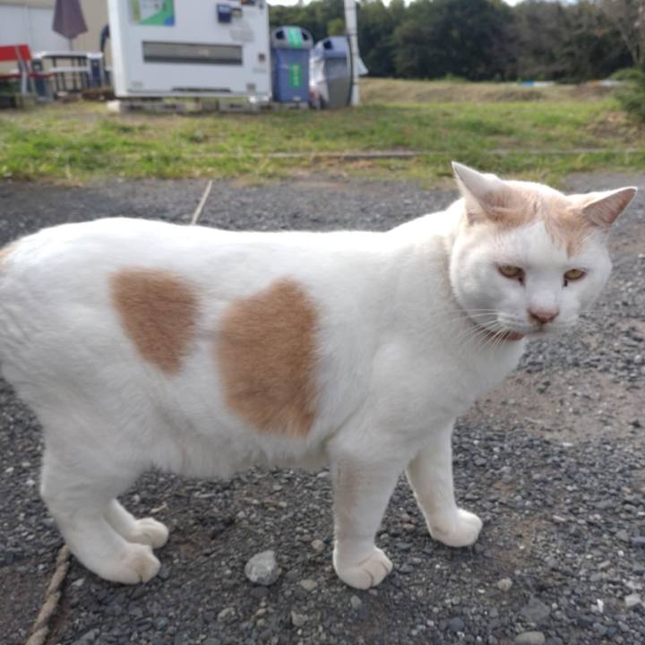 A30aad2c 2316 46fb bb3b 25b0d611dd72 1759450032385