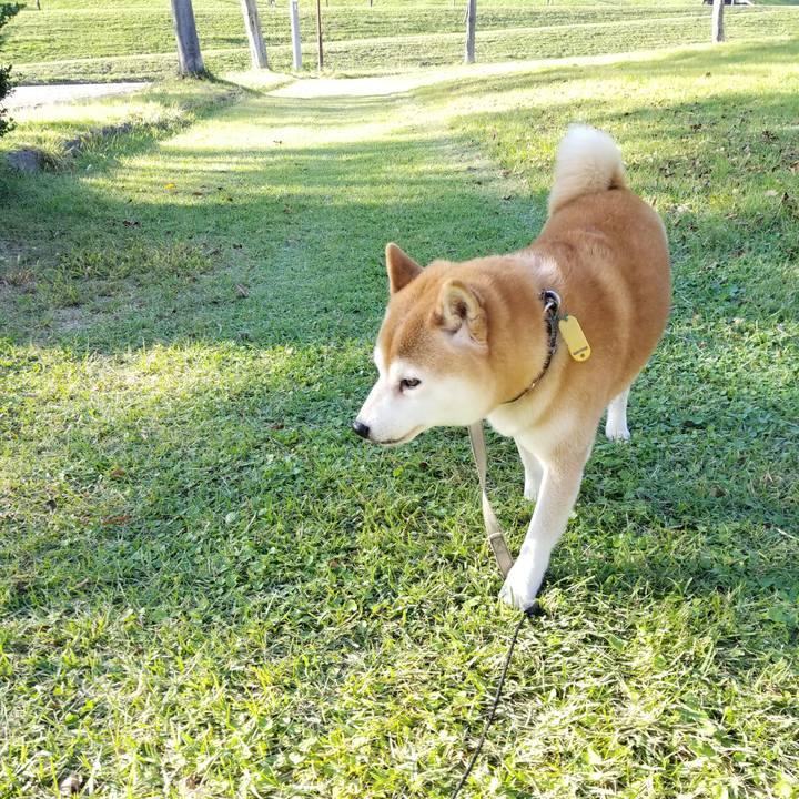 A30ab366 83ad 49d6 994c bc0b05028627 1634192052104