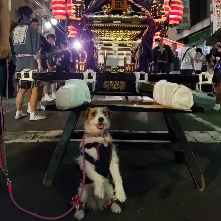 A30abe13 8e89 435f 95ba 7d6eeafae1e0 1567868283110