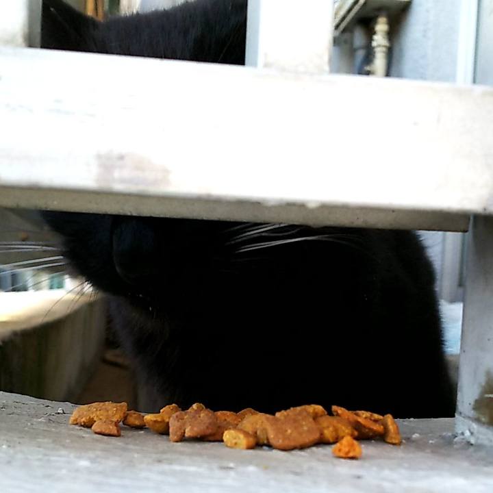 A30ad9f5 66cd 4214 a807 057229069c01 1551478174689