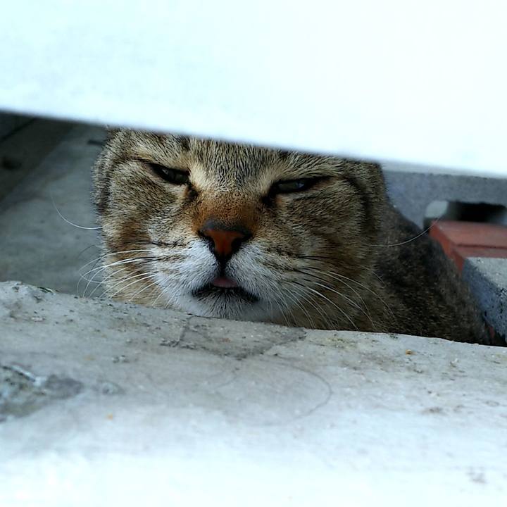 A30ae6dd 3460 4c40 9c98 77986a212bd5 1558067736078