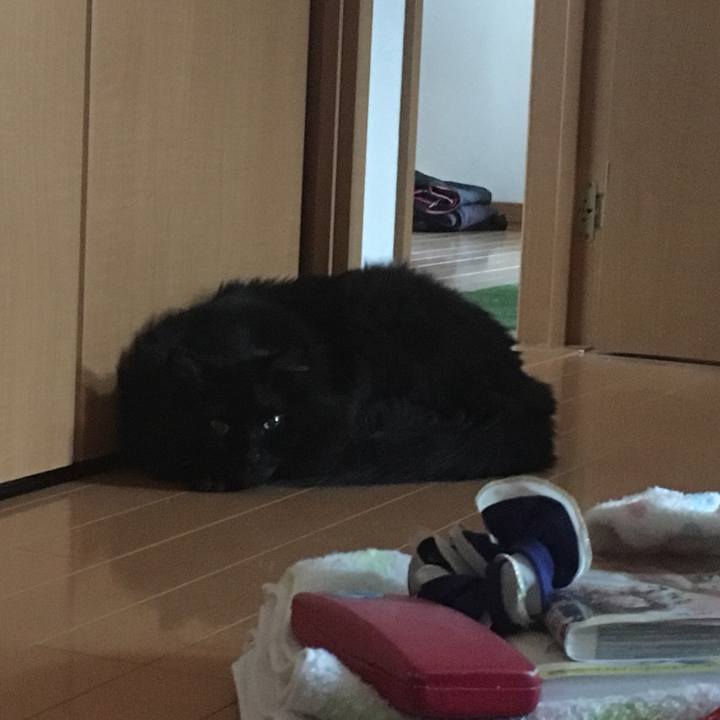 A30afb61 e323 44d8 8b46 7a3d0156ee99 1552953621337