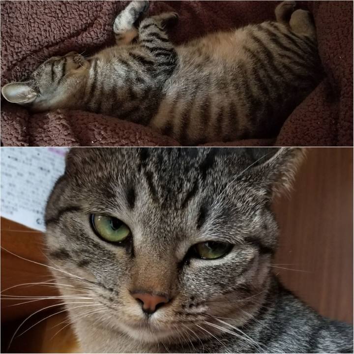 A30b043c 1cc2 43ff b4e1 e21aa73c5e45 1689893503132