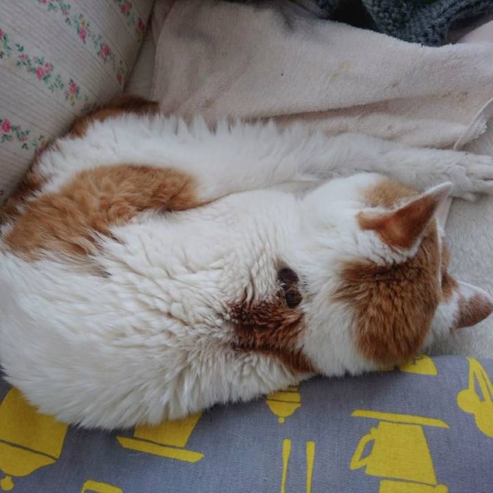 A30b581d 792c 49d2 82b6 c08c544b6550 1608867184331