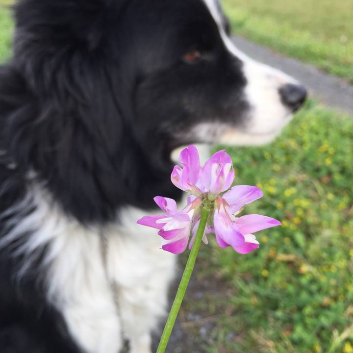 A30b96af e1ef 4a1a bbdc 531e606815d9 1585610178859