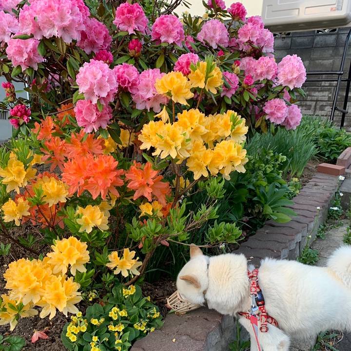 A30ba3af cd75 474b a498 57d85b094a68 1559163438656