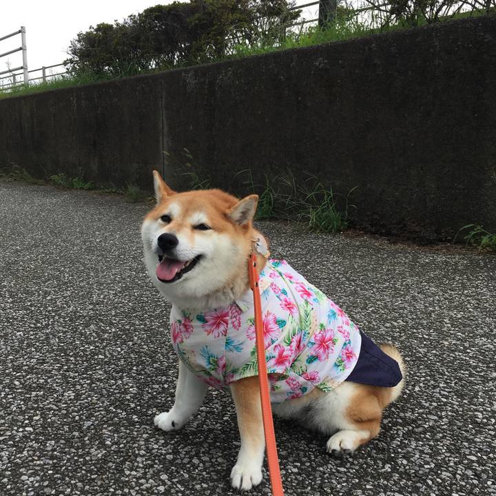 A30bcb81 b2c7 4979 86af 53973ca917e6 1566781340402