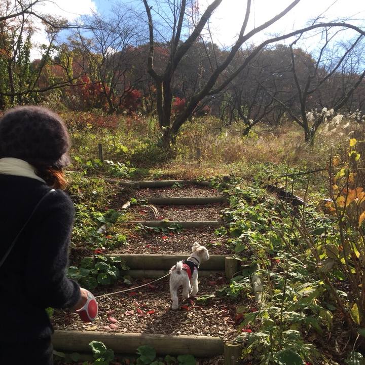 A30bfee4 cd05 4a21 ba83 054ebf675e84 1511177486927