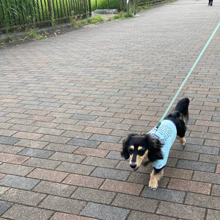 A30c0276 e028 4a98 851e cbcb96de84b8 1684965698225