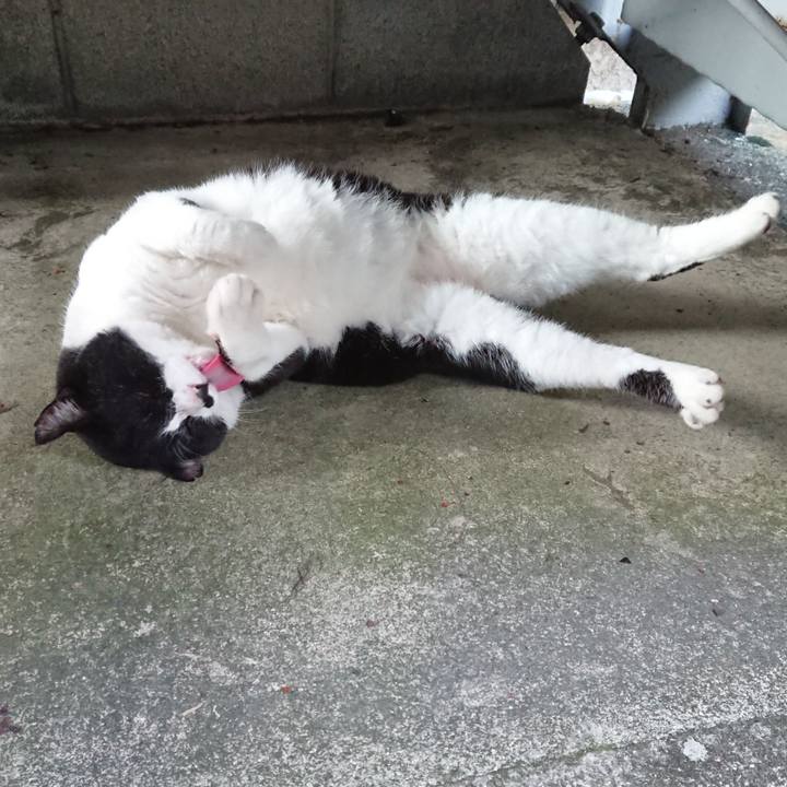 A30c0ef1 5843 46d6 9429 d380c11b4eb7 1602575412254