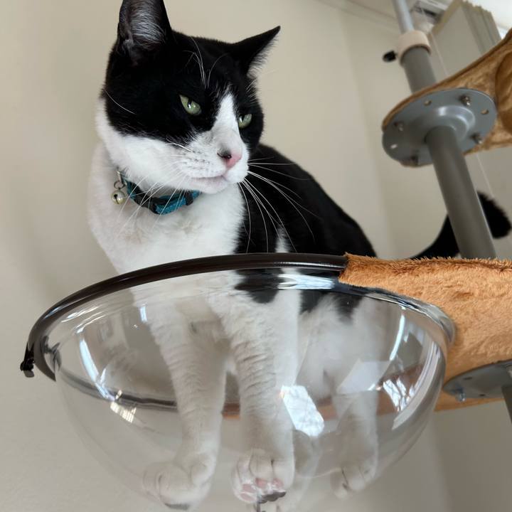 A30c2f84 0fab 404d a31e bf9b470d003f 1772632962157