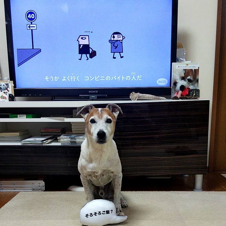 A30c35ed c36e 4277 9bfd 42c5d6d62265 1574115229471