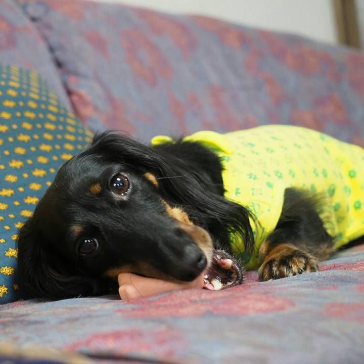 A30c80c3 c886 402f ba0e 8623adb912f3 1572847277986