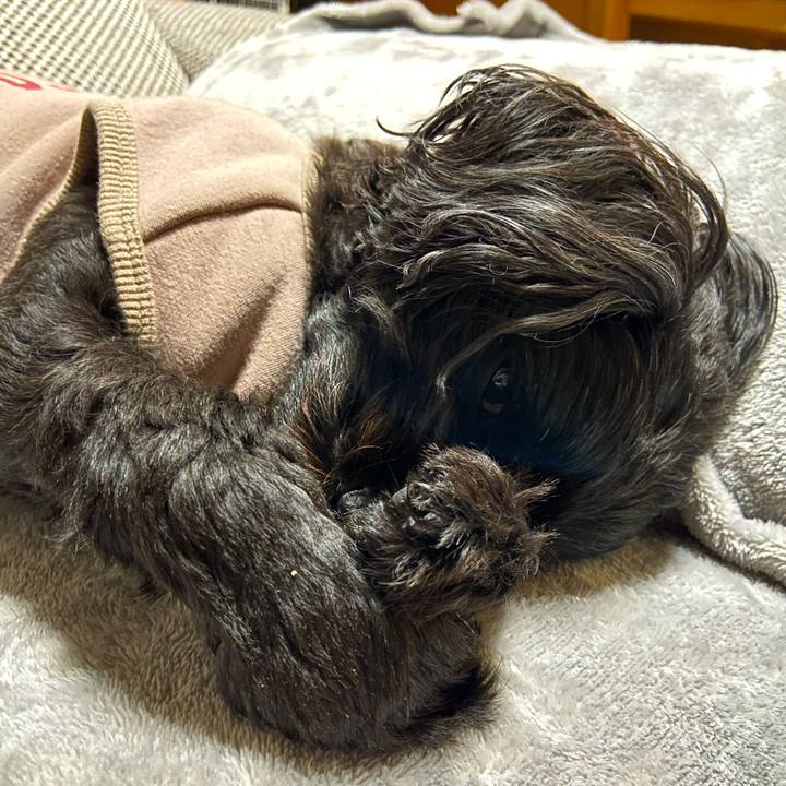 A30cb160 d2ce 450e b6d5 61fc2f7197dc 1578673406834