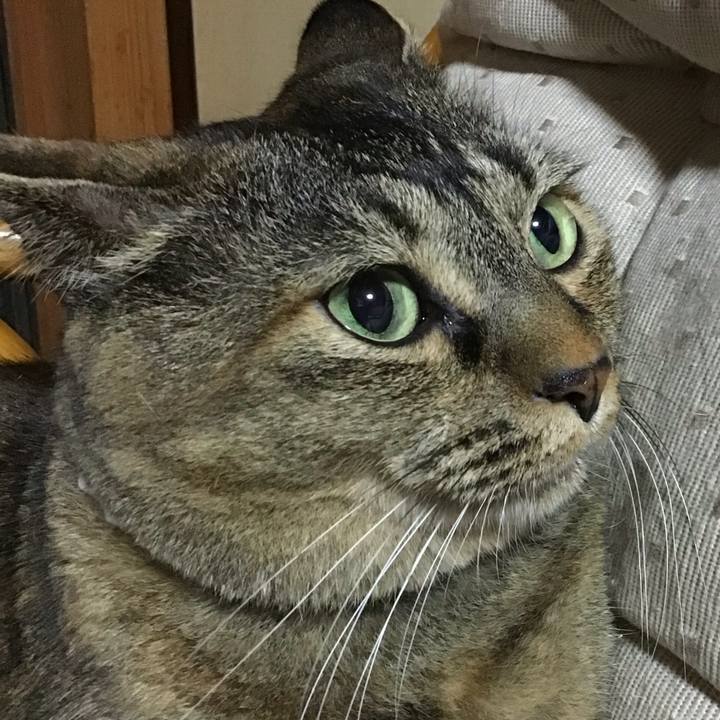 A30cf53f ac65 44ee b0a2 848f3b4144d9 1754136355025