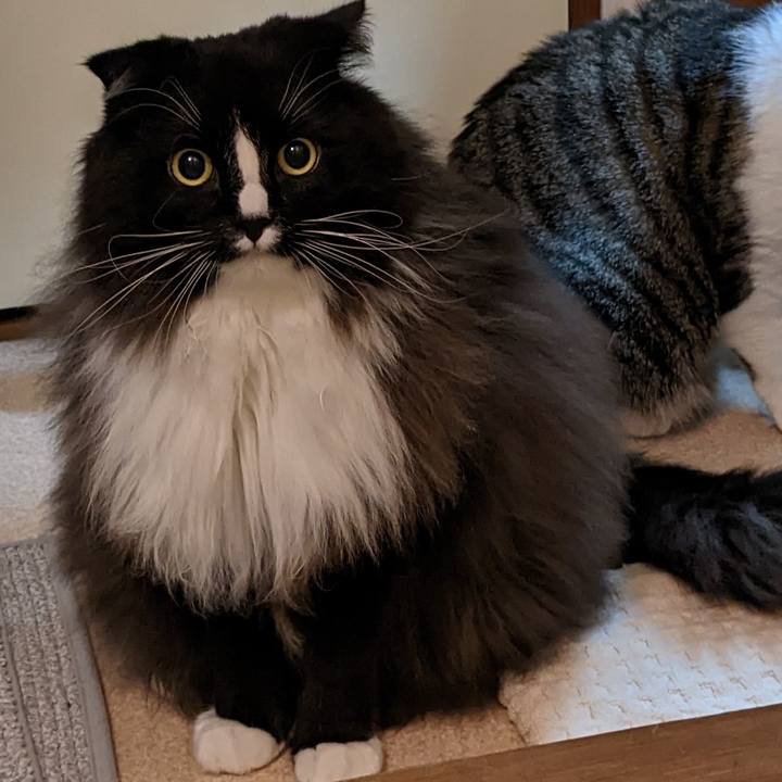 A30d2a39 a6fc 44dc a742 fc24df2969ce 1667734353585