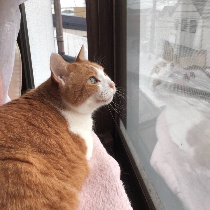 A30d3a43 50cc 4d53 9bb2 4df5efb0f26d 1576049254301