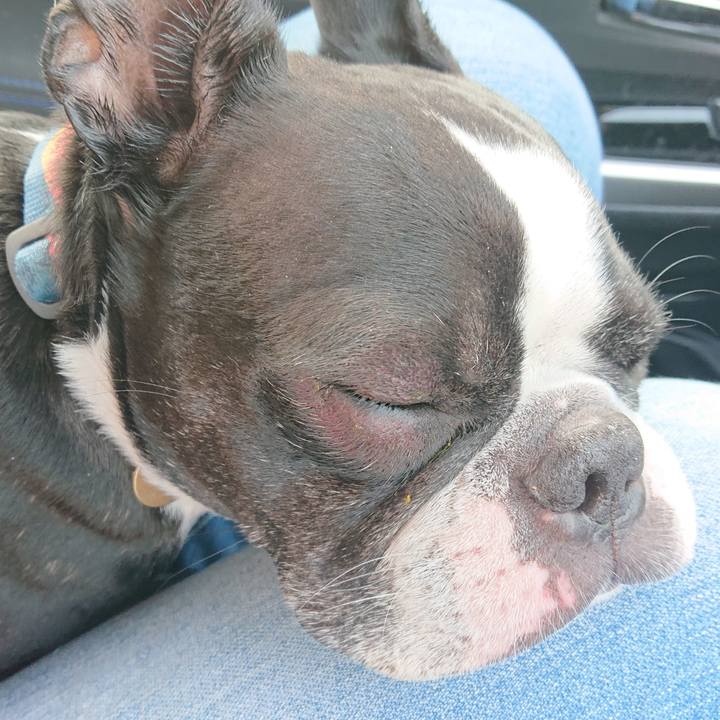 A30d5599 c4db 4bc8 a40d eb357641c749 1647073967471