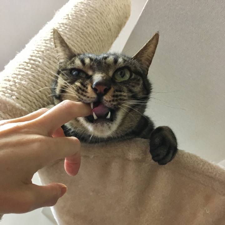 A30dade3 7f8b 4718 b4b1 ed1776868a6b 1523955961681