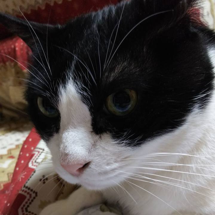 A30dc765 519a 4fb2 8b25 37fe2c40869c 1551822613505