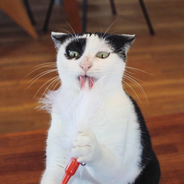 A30dd6d0 4124 484e b5f1 6f0c341e5da6 1579953001629