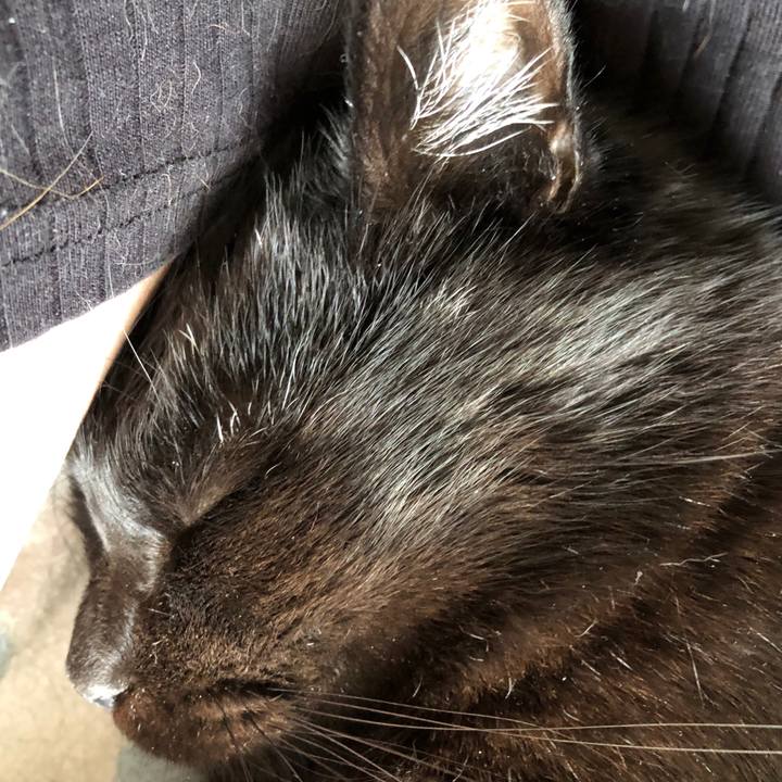 A30dfa25 0e9a 4628 9168 74699cd95aaf 1569729465345