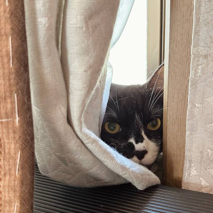 A30e02dd b87f 41e5 b3af 79794efb364a 1755397521764